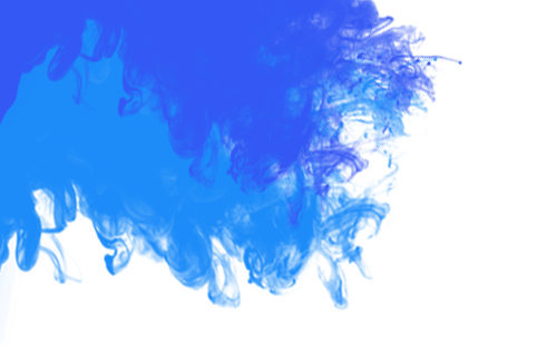 Junzi